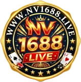 nv1688 Logo